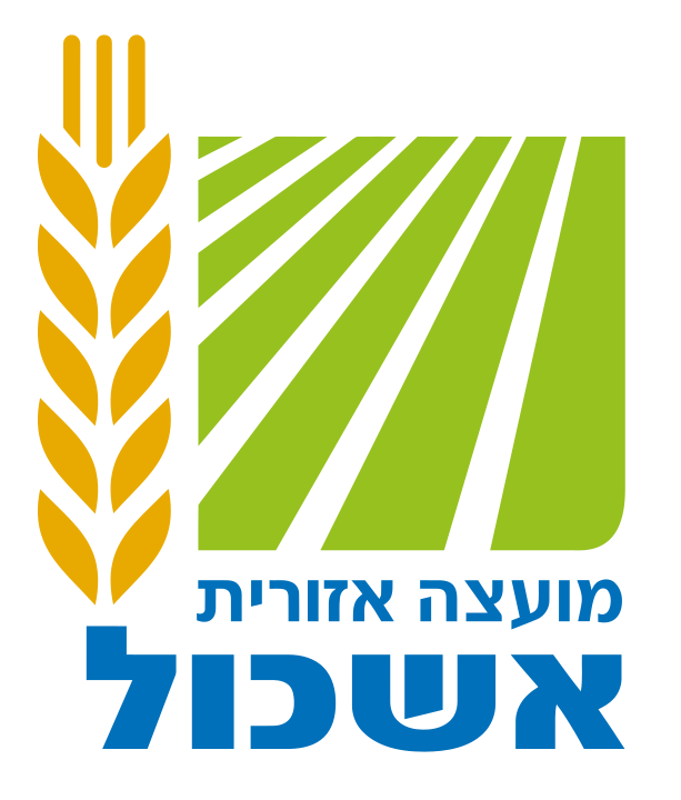 פעילות גיבוש לעובדים